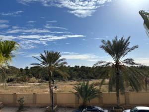a group of palm trees in front of a fence at Dar Lina in Tozeur
