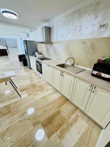 a kitchen with a sink and a refrigerator at Roua Residence in Vladimirescu