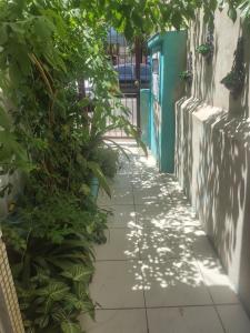 an alley with plants on the side of a building at Pousada in Porto Alegre
