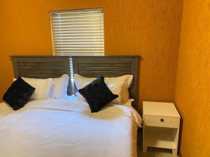 a bedroom with a bed with pillows and a window at 26 Rubens apartments in Secunda