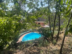 a swimming pool in the middle of a forest at Independent accommodation on Etna in San Giovanni Montebello