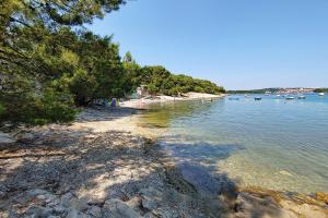 a beach with trees and boats in the water at Mobile home Superior in Premantura
