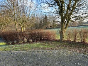 a park with a tree and a sidewalk and a field at Ferienhaus Tutsch Ostblick in Wangels +36 photos