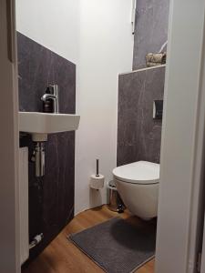 a bathroom with a sink and a toilet at Ruhige Stadtwohnung, 107 m2 in Dornbirn +24 photos