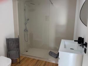 a bathroom with a shower and a sink at Azores Pedra Apartaments A in Fajã de Baixo