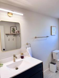 a bathroom with a white sink and a mirror at Kenoza House with Private Lake and Kayaks in Callicoon +51 photos