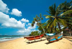 three boats on a beach with a palm tree at Blue Sky Villa Rooms Ahangama Luxury Private Rooms with AC, Free Wi-Fi, Outdoor Dining Area & Relax Space, Perfect for Couples, Solo Travelers & Tropical Holiday Stays, Modern Comfort in the Heart of Ahangama, Steps from the Beach in Ahangama