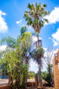 two palm trees in front of a fence at Travel Shift Accommodation in Northam