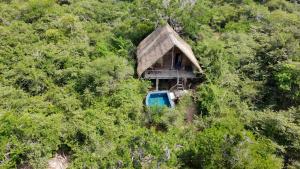 a house with a blue truck in the middle of a forest at Mamba Yala in Tissamaharama