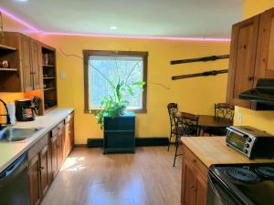 a kitchen with a plant in the middle of it at Morel Mountain Hideaway in Warren