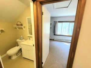 a bathroom with a toilet and a sink and a window at Morel Mountain Hideaway in Warren +39 photos