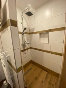 eine Dusche in einem Badezimmer mit Holzboden in der Unterkunft frankys cafe in Bärenstein