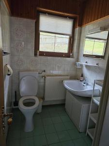 a bathroom with a toilet and a sink at Mirnockblick Apartments in Radenthein +14 photos