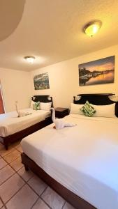 a hotel room with two beds with white sheets at Mayan Princess Beach & Dive Resort in West Bay