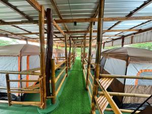 a row of tents with green grass in front at The Tent Naiyang in Nai Yang Beach