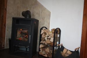 a pile of fire wood in front of a stove at Kleine Auszeit Blumenthal in Ferdinandshof