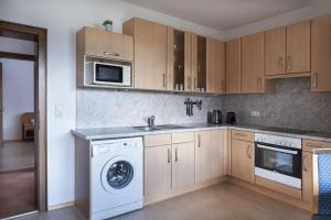 a kitchen with a washing machine and a microwave at Panorama Apartments Semslach in Obervellach +25 photos
