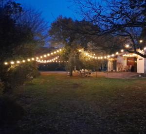 a string of lights over a yard at night at Domaine d'Avalon in Lorgues +8 photos