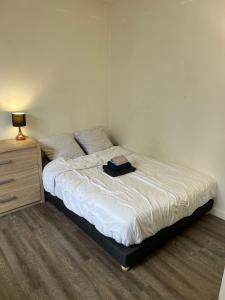 a bedroom with a bed and a dresser with a lamp at Private Room in a Shared Appartment in Asnières-sur-Seine