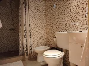 a bathroom with a toilet and a shower at Dormis Talampaya in Villa Unión +9 photos