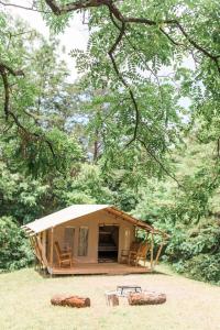 a small tent in the middle of a forest at GlampKnox Canvas Campground - Grande in Knoxville +49 photos