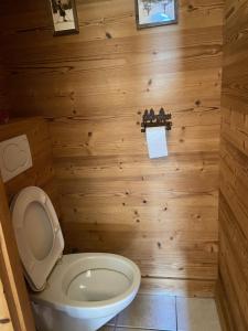 a small bathroom with a toilet and wooden walls at Chalet Robin (6 personnes) in La Lechere +3 photos