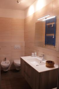 a bathroom with a sink and a toilet and a mirror at Levico Nature Escape in Levico Terme +17 photos