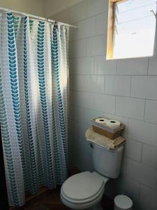 a bathroom with a toilet and a shower curtain at El Descanso Cabins in Capilla Palacio