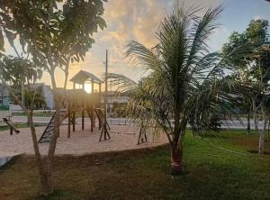 a palm tree in a park with a playground at Flat Cerejeiras - Condomínio Privado in Bananeiras