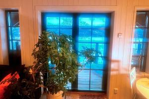 a glass door with a plant in front of it at Studio Svartbygget in Åre +50 photos
