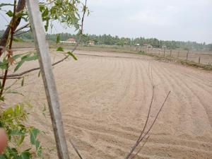 a dirt field with a fence and a dirt road at Pbnearswamp barbecue resort in Panama