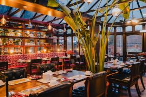 a restaurant with tables and chairs and a large plant at The Galaxie in Oxford