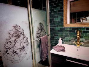 a bathroom with a shower and a sink and a mirror at La Clef d'Or in Magescq