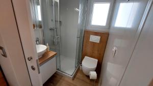 a bathroom with a shower and a toilet and a sink at Mobile home 249 - Large Terrace & Private Jacuzzi in Selce +37 photos