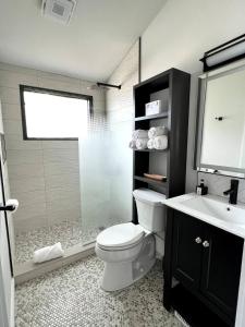 a bathroom with a toilet and a sink and a shower at HPThe Abode Downtown Bojangles Dogs Welcome Yard in Charlotte +29 photos