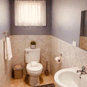 a bathroom with a toilet and a sink at Nadi Airport Bed & Breakfast in Nadi