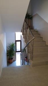 eine Treppe in einem Gebäude mit Topfpflanzen in der Unterkunft Ego 2 Guesthouse in Belogradtschik