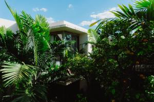 a building with trees in front of it at Querida Casa - Mérida Centro in Mérida