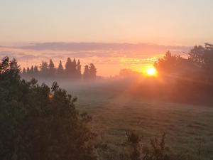 a misty sunrise over a field with trees at Ah Helledahls in Weyer
