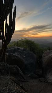 a cactus sitting on top of a rock with the sunset at Chale Gameleiras in Monte das Gameleiras +2 photos