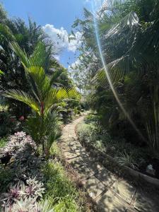 a path through a garden with palm trees and plants at Lush Garden Chalet in Afiaman