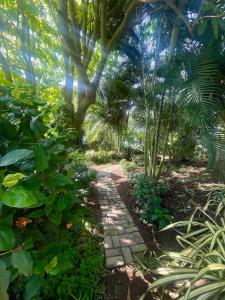 a path in the middle of a garden at Lush Garden Chalet in Afiaman