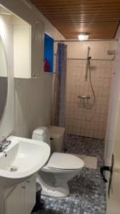 a bathroom with a toilet and a sink and a shower at Stanza in zona turistica in Hirtshals