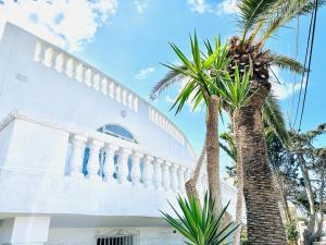 a white building with palm trees in front of it at Panoramic Ocean View Villa in Is-Swieqi