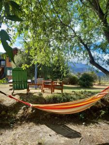 a hammock in a park under a tree at Hostal del río in El Bolsón