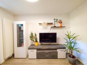 a living room with a flat screen tv on a wall at Sonja´s Ferienwohnung in Patergassen