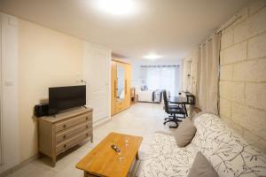 a living room with a couch and a tv at La suite d'Amanda-wifi-jardin NO KITCHEN in Villefranche-de-Rouergue +7 photos