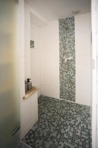 a bathroom with a shower with a tiled floor at La suite d'Amanda-wifi-jardin NO KITCHEN in Villefranche-de-Rouergue