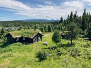 a house with a grass roof on top of a field at Idyllisk feriested in Gol