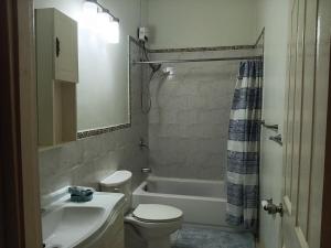 a bathroom with a toilet and a tub and a sink at Cozy Kingston Flat in Kingston +18 photos